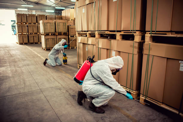 Best Cockroach Control Services  in Williams, OR