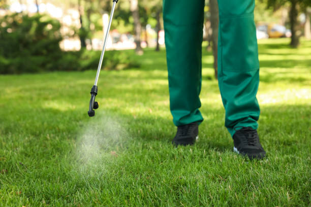 Best Termite Control Services  in Williams, OR