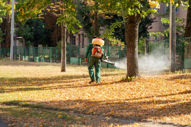 Wildlife Control Services in Williams, OR