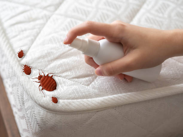 Pest Prevention Services in Williams, OR