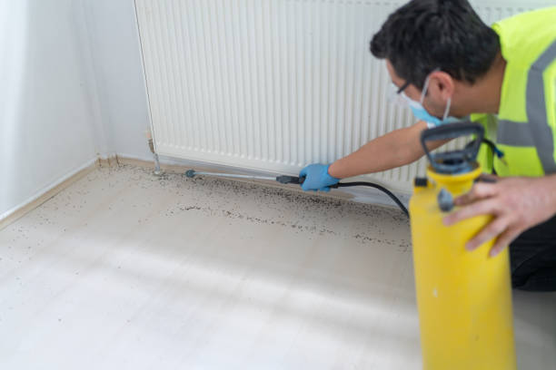 Best Mosquito Control Services  in Williams, OR